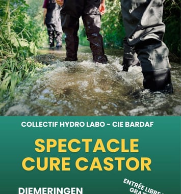 Cure Castor