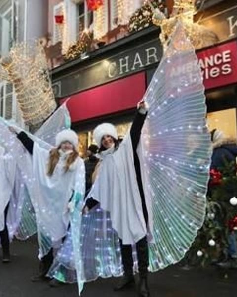 Déambulation : les papillons