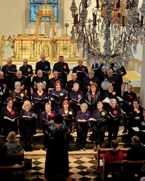 Festival de l'orgue STIEHR : Org'felden