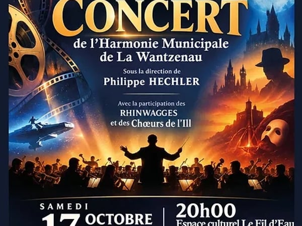 Concert ensemble musical D'RHINWAGGES