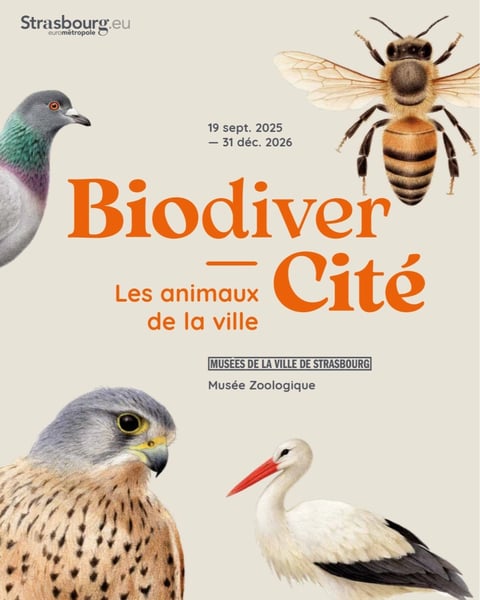 Biodivercité. Les animaux de la ville