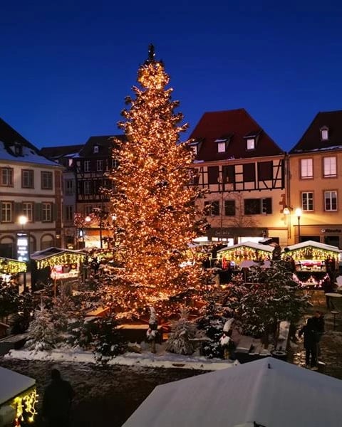 Lancement des festivités de Noël