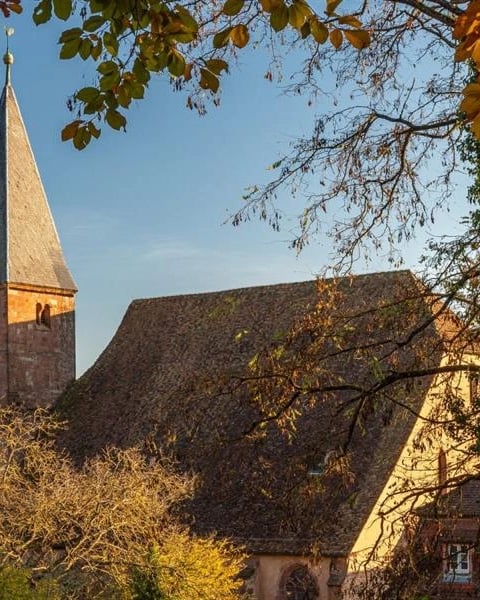Concert : Flâneries à deux violoncelles