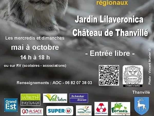 Exposition photos grands formats : biodiversité à ciel ouvert