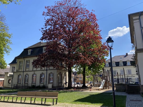 100 ans de l'inauguration de l'Hôtel de ville