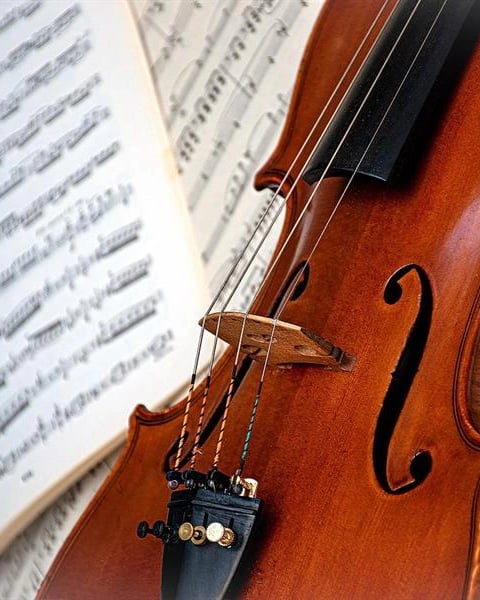 Spectacle : un violon sans frontières