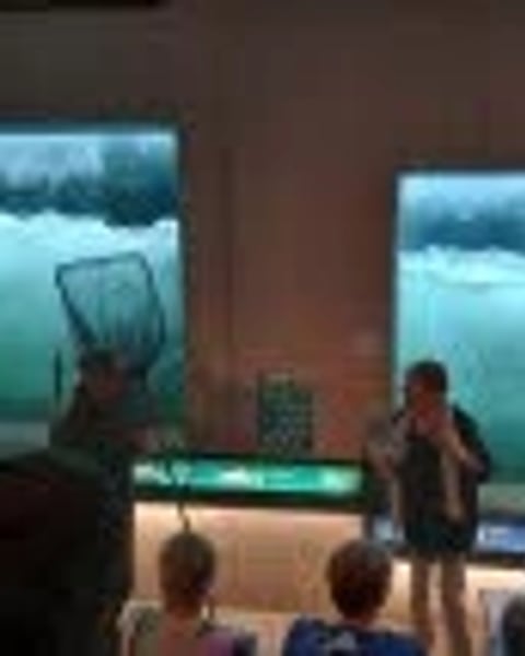 Les deux saumons et le pêcheur