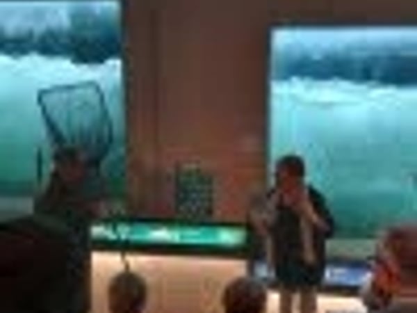 Les deux saumons et le pêcheur