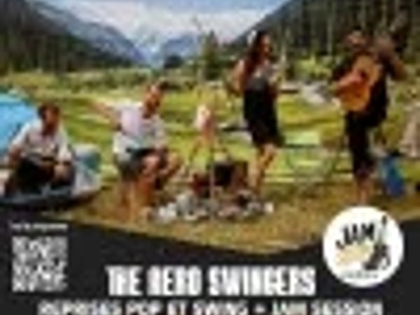 The Aero Swingers