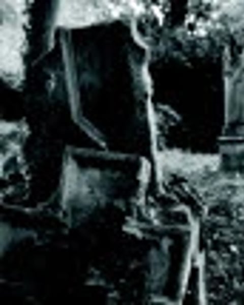 Fête des morts