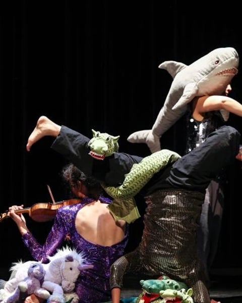 Ici dragON·s