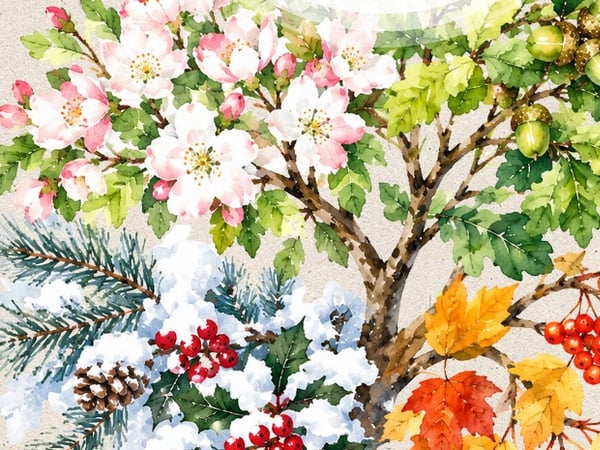 Exposition et boutique de Noël : Les 4 saisons des Herbes Folles