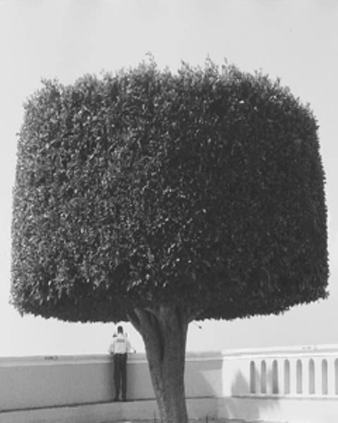 Archifoto