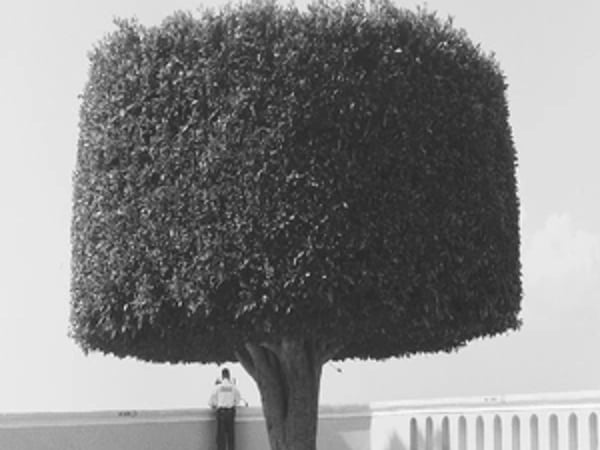 Archifoto
