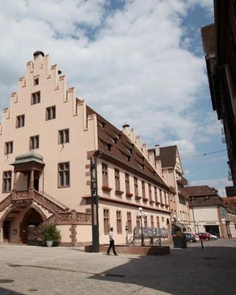 Exposition : faune sauvage, flore et paysages en Alsace centrale