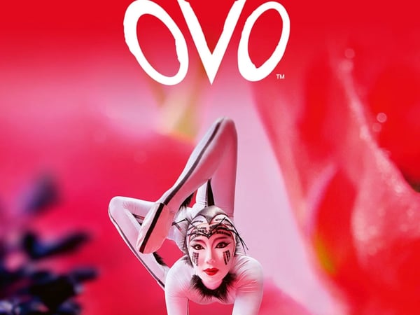Cirque du Soleil OVO