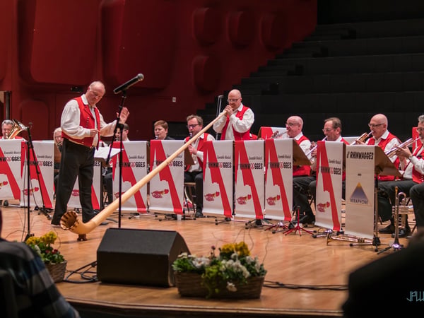 Concert de Blosmusik des Rhinwagges